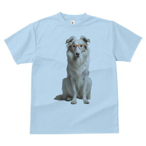 R[ TVc  j[NfUCfB[X t@  t vg lJWA 킢 lԗp Mtg I ҏ΍ Kl R[ 킢  Ce