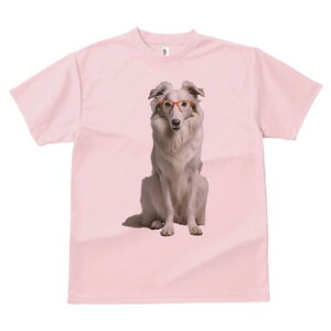 R[ TVc  j[NfUCfB[X t@  t vg lJWA 킢 lԗp Mtg I ҏ΍ Kl R[ 킢  Ce