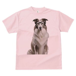 R[ TVc  j[NfUCfB[X t@  t vg lJWA 킢 lԗp Mtg I ҏ΍ Kl R[