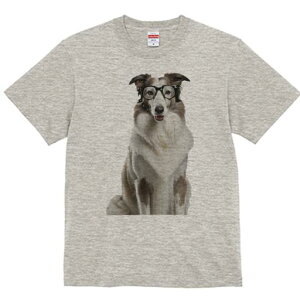 R[ TVc  j[NfUCfB[X t@  t vg lJWA 킢 lԗp Mtg I ҏ΍ Kl R[