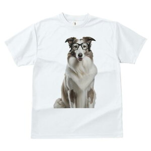 R[ TVc  j[NfUCfB[X t@  t vg lJWA 킢 lԗp Mtg I ҏ΍ Kl R[