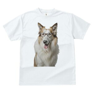 R[ TVc  j[NfUCfB[X t@  t vg lJWA 킢 lԗp Mtg I ҏ΍ Kl R[