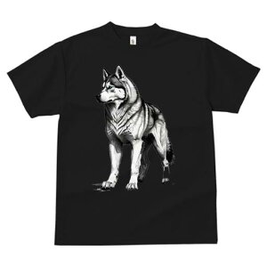 VxAnXL[ TVc  j[NfUCfB[X t@  t vg lJWA 킢 lԗp Mtg I ҏ΍ VxAnXL[