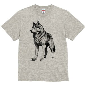 VxAnXL[ TVc  j[NfUCfB[X t@  t vg lJWA 킢 lԗp Mtg I ҏ΍ VxAnXL[