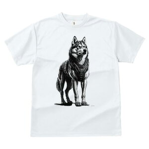 nXL[ TVc  j[NfUCfB[X t@  t vg lJWA 킢 lԗp Mtg I ҏ΍ Z nXL[ mN