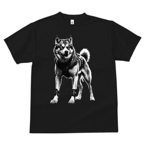 nXL[ TVc  j[NfUCfB[X t@  t vg lJWA 킢 lԗp Mtg I ҏ΍ Z nXL[