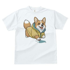 R[M[ TVc  j[NfUCfB[X t@  t vg lJWA 킢 lԗp Mtg I ҏ΍ p[J[ R[M[