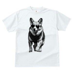 R[M[ TVc  j[NfUCfB[X t@  t vg lJWA 킢 lԗp Mtg I ҏ΍ TOX R[M[ n[lX