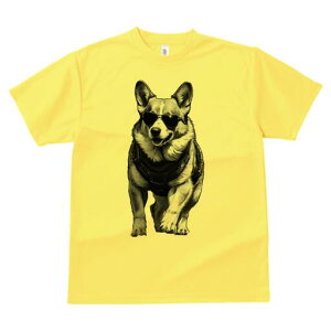 R[M[ TVc  j[NfUCfB[X t@  t vg lJWA 킢 lԗp Mtg I ҏ΍ TOX R[M[ n[lX