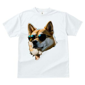 Č TVc  j[NfUCfB[X t@  t vg lJWA 킢 lԗp Mtg I ҏ΍ TOX Č