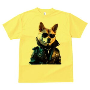 Č TVc  j[NfUCfB[X t@  t vg lJWA 킢 lԗp Mtg I ҏ΍ TOX Č vW WPbg t@bV