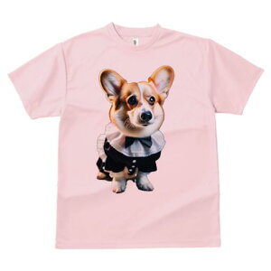 R[M[ TVc  j[NfUCfB[X t@  t vg lJWA 킢 lԗp Mtg I ҏ΍ ^LV[h R[M[ lN^C t