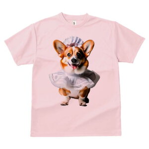 R[M[ TVc  j[NfUCfB[X t@  t vg lJWA 킢 lԗp Mtg I ҏ΍ Ch R[M[ Xq