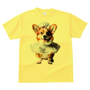 R[M[ TVc  j[NfUCfB[X t@  t vg lJWA 킢 lԗp Mtg I ҏ΍ Ch R[M[ Xq