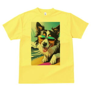 {[_[R[ TVc  j[NfUCfB[X t@  t vg lJWA 킢 lԗp Mtg I ҏ΍ TOX {[_[R[ T[tB C 