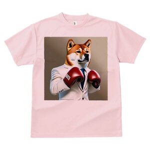 Č TVc  j[NfUCY LbY t@  t vg lJWA 킢 lԗp Mtg I ҏ΍ X[c Č {NVOO[u lN^C