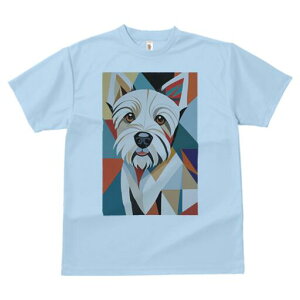 EGXgnChzCgeA TVc  j[NfUCfB[X t@  t vg lJWA 킢 lԗp Mtg I ҏ΍ 􉽊w͗l EGXgn