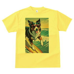 {[_[R[ TVc  j[NfUCfB[X t@  t vg lJWA 킢 lԗp Mtg I ҏ΍ T[tB {[_[R[ C g TO