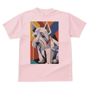 EGXgnChzCgeA TVc  j[NfUCfB[X t@  t vg lJWA 킢 lԗp Mtg I ҏ΍ 􉽊wI EGXgnC