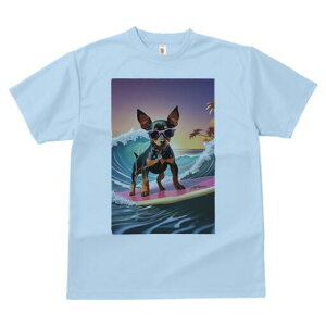 ~j`AsV[ TVc  j[NfUCfB[X t@  t vg lJWA 킢 lԗp Mtg I ҏ΍ T[tB ~j`AsV[ 