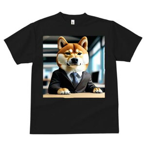 Č TVc  j[NfUCfB[X t@  t vg lJWA 킢 lԗp Mtg I ҏ΍ X[c Č lN^C