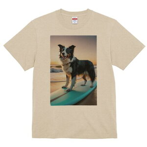 {[_[R[ TVc  j[NfUCfB[X t@  t vg lJWA 킢 lԗp Mtg I ҏ΍ T[tB {[_[R[ C r[` [