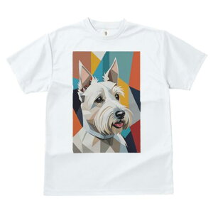 EGXgnChzCgeA TVc  j[NfUCfB[X t@  t vg lJWA 킢 lԗp Mtg I ҏ΍ 􉽊w͗l EGXgn