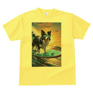 {[_[R[ TVc  j[NfUCfB[X t@  t vg lJWA 킢 lԗp Mtg I ҏ΍ T[tB {[_[R[ C g TO