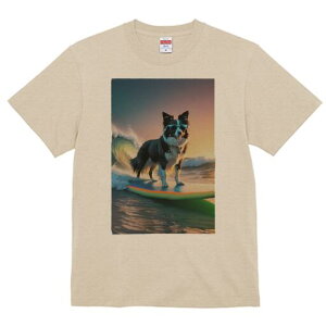 {[_[R[ TVc  j[NfUCfB[X t@  t vg lJWA 킢 lԗp Mtg I ҏ΍ g {[_[R[ T[tB C TO