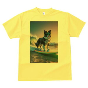 {[_[R[ TVc  j[NfUCfB[X t@  t vg lJWA 킢 lԗp Mtg I ҏ΍ g {[_[R[ T[tB C TO