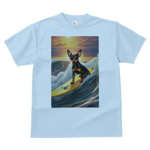 ~j`AsV[ TVc  j[NfUCY LbY t@  t vg lJWA 킢 lԗp Mtg I ҏ΍ T[tB ~j`AsV