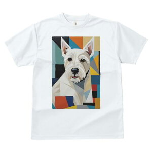 EGXgnChzCgeA TVc  j[NfUCfB[X t@  t vg lJWA 킢 lԗp Mtg I ҏ΍ 􉽊w͗l EGXgn