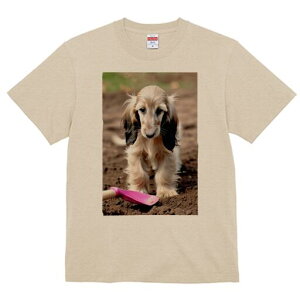 AtKnEh TVc  j[NfUCfB[X t@  t vg lJWA 킢 lԗp Mtg I ҏ΍ Vx AtKnEh y