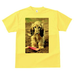 AtKnEh TVc  j[NfUCfB[X t@  t vg lJWA 킢 lԗp Mtg I ҏ΍ Vx AtKnEh y