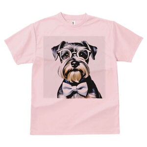 ~j`AViEU[ TVc  j[NfUCfB[X t@  t vg lJWA 킢 lԗp Mtg I ҏ΍ Kl ~j`AViEU[ 