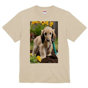 AtKnEh TVc  j[NfUCfB[X t@  t vg lJWA 킢 lԗp Mtg I ҏ΍  AtKnEh  Vx y