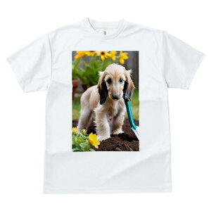 AtKnEh TVc  j[NfUCfB[X t@  t vg lJWA 킢 lԗp Mtg I ҏ΍  AtKnEh  Vx y