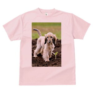 AtKnEh TVc  j[NfUCfB[X t@  t vg lJWA 킢 lԗp Mtg I ҏ΍ A AtKnEh  y