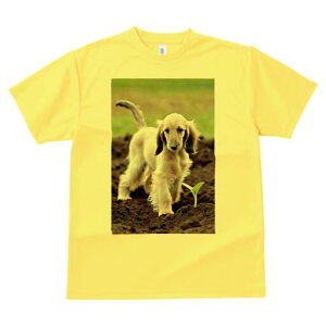 AtKnEh TVc  j[NfUCfB[X t@  t vg lJWA 킢 lԗp Mtg I ҏ΍ A AtKnEh  y