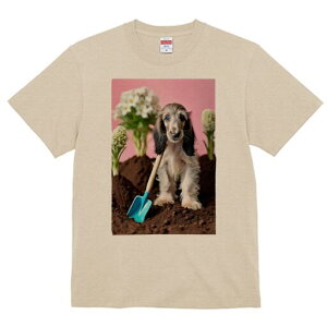 AtKnEh TVc  j[NfUCfB[X t@  t vg lJWA 킢 lԗp Mtg I ҏ΍ Vx AtKnEh  y