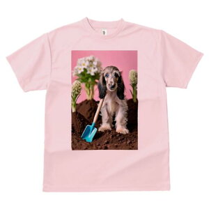 AtKnEh TVc  j[NfUCfB[X t@  t vg lJWA 킢 lԗp Mtg I ҏ΍ Vx AtKnEh  y