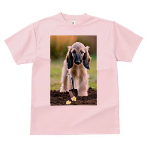 AtKnEh TVc  j[NfUCfB[X t@  t vg lJWA 킢 lԗp Mtg I ҏ΍ Vx AtKnEh  y