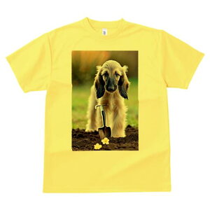 AtKnEh TVc  j[NfUCfB[X t@  t vg lJWA 킢 lԗp Mtg I ҏ΍ Vx AtKnEh  y