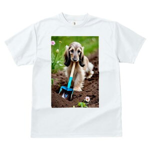 AtKnEh TVc  j[NfUCfB[X t@  t vg lJWA 킢 lԗp Mtg I ҏ΍ Vx AtKnEh  