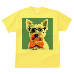 EGXgnChzCgeA TVc  j[NfUCfB[X t@  t vg lJWA 킢 lԗp Mtg I ҏ΍ Kl EGXgnC