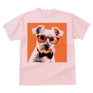 ~j`AViEU[ TVc  j[NfUCfB[X t@  t vg lJWA 킢 lԗp Mtg I ҏ΍ Kl ~j`AViEU[ 