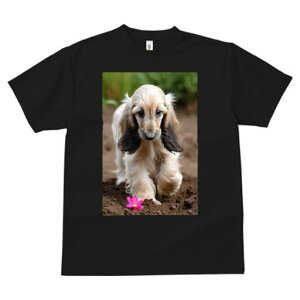 AtKnEh TVc  j[NfUCfB[X t@  t vg lJWA 킢 lԗp Mtg I ҏ΍  AtKnEh