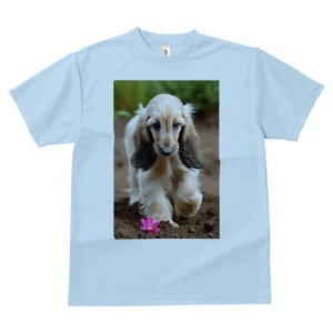 AtKnEh TVc  j[NfUCfB[X t@  t vg lJWA 킢 lԗp Mtg I ҏ΍  AtKnEh