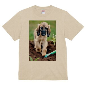 AtKnEh TVc  j[NfUCfB[X t@  t vg lJWA 킢 lԗp Mtg I ҏ΍ y AtKnEh  XRbv |