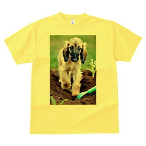 AtKnEh TVc  j[NfUCfB[X t@  t vg lJWA 킢 lԗp Mtg I ҏ΍ y AtKnEh  XRbv |